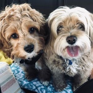 Meet your Posher, Mg